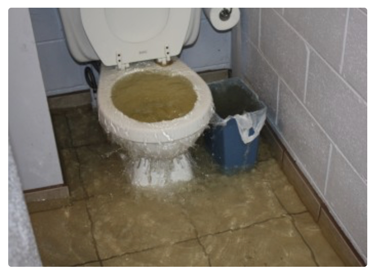 CLOGGED TOILETS YUCK Fuzzy Kilt World